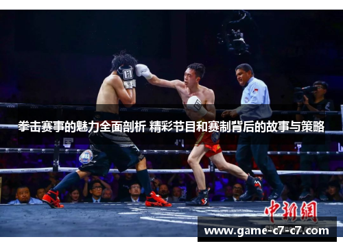 拳击赛事的魅力全面剖析 精彩节目和赛制背后的故事与策略
