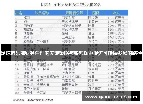 足球俱乐部财务管理的关键策略与实践探索促进可持续发展的路径