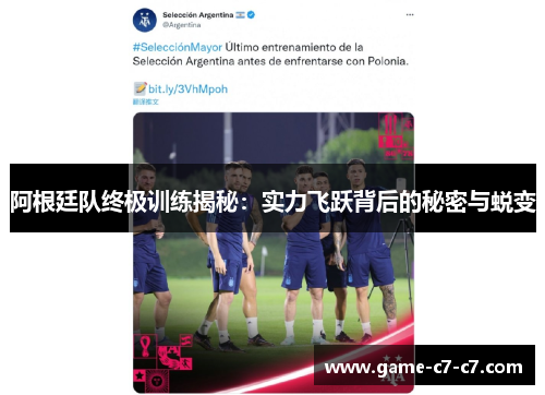 阿根廷队终极训练揭秘：实力飞跃背后的秘密与蜕变