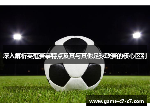 深入解析英冠赛事特点及其与其他足球联赛的核心区别