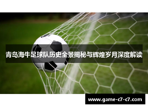 青岛海牛足球队历史全景揭秘与辉煌岁月深度解读